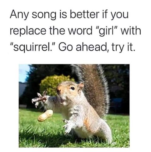 replace girl with squirrel.jpg